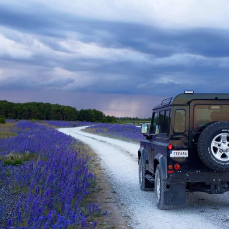 French Riviera: A Mediterranean Escape