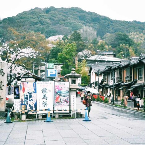 Japanese Cuisine 101: From Sushi to Ramen